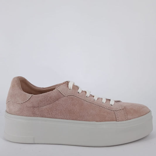 Frau - Sneakers donna phard.