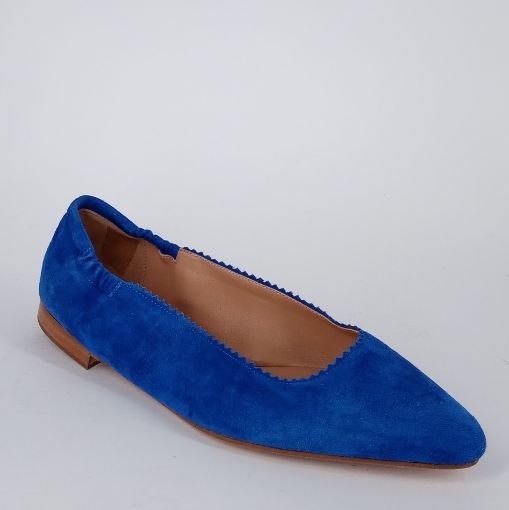 PROSPERINE  . Ballerine in camoscio bluette .